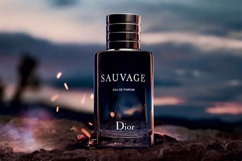 saulvage dior